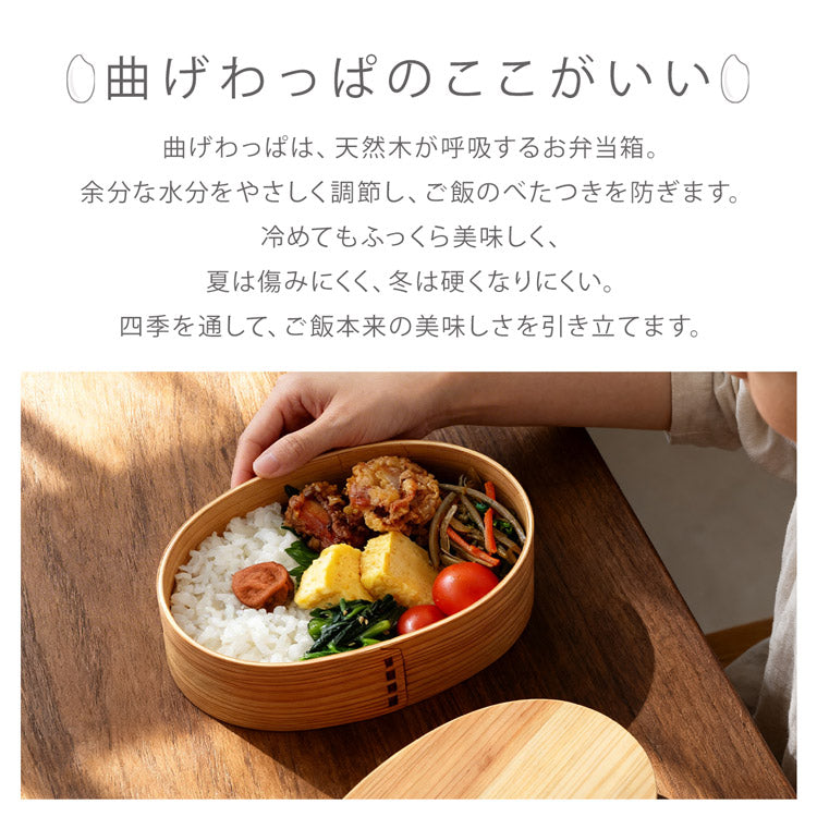 日本製　電子レンジと食洗器が使える　曲げわっぱお弁当箱